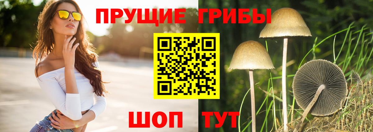 Галлюциногенные грибы MAGIC MUSHROOMS Бор